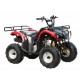 ATV 110cc ATA